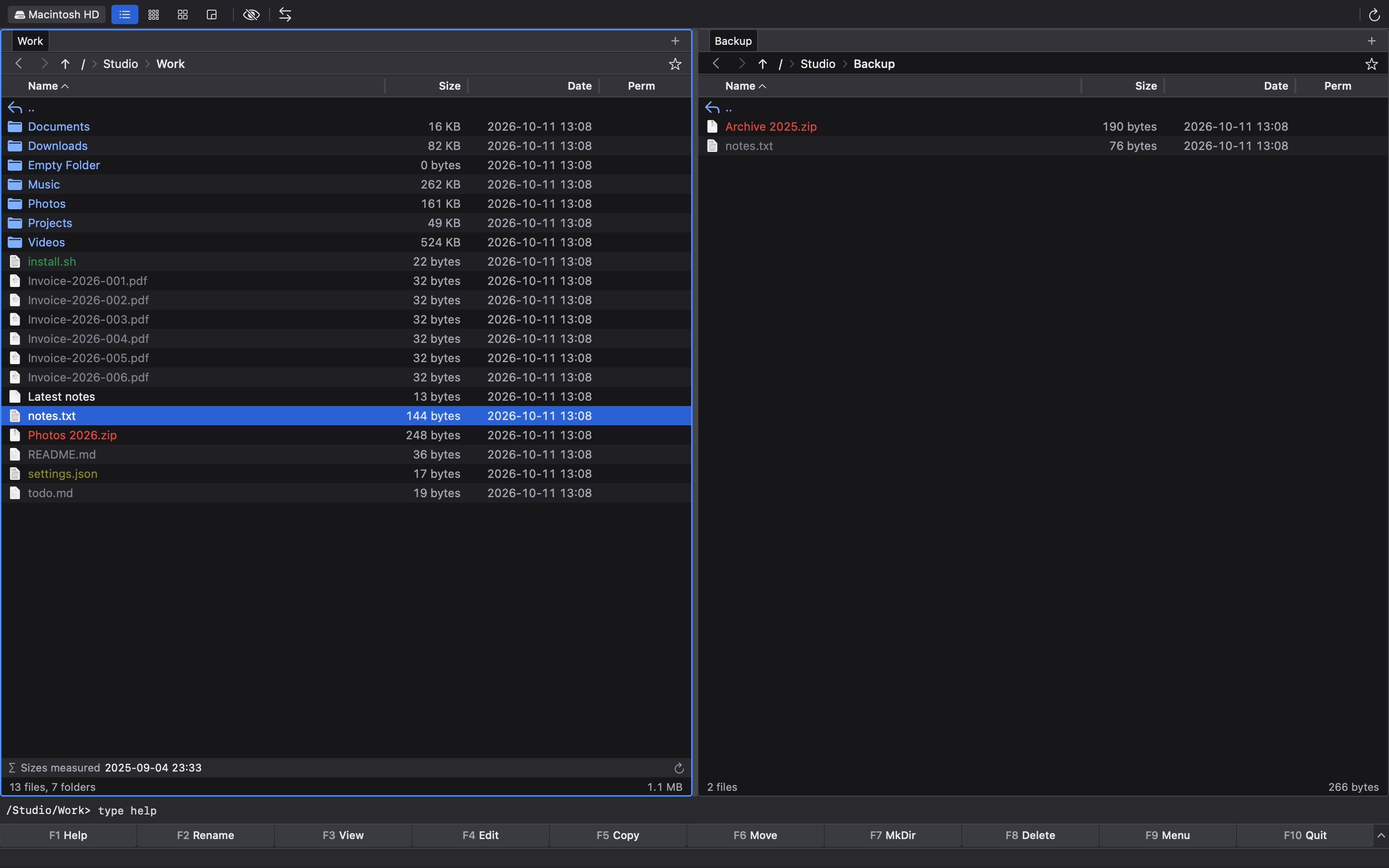MeiFiles theme 2000s screenshot.