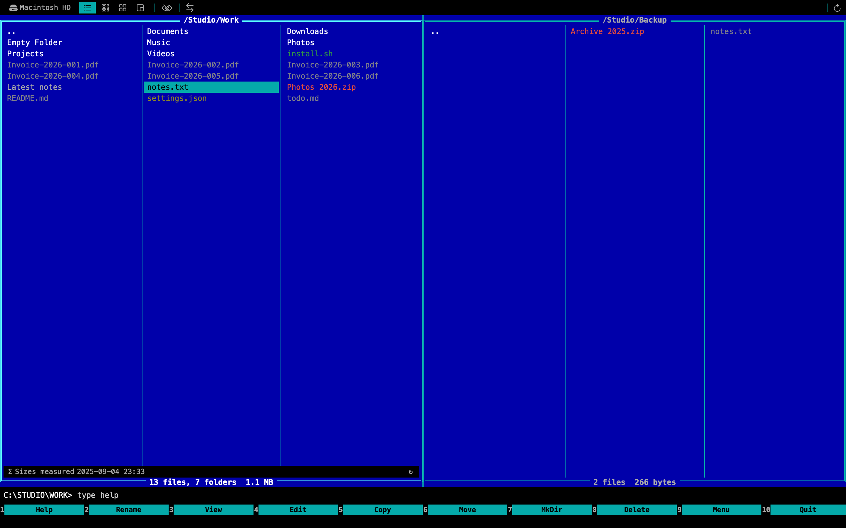 MeiFiles theme 90s screenshot.
